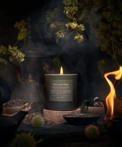 BOY SMELLS NEW IN THE FANTOME CANDLE 7 BOY SMELLS NEW IN THE FANTOME CANDLE