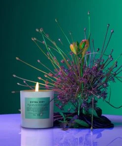 BOY SMELLS EXTRA VERT PRIDE COLLECTION SALE