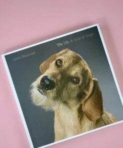 COFFEE TABLE BOOKS THE LIFE AND LOVE OF DOGS BOOK NEW IN