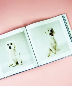 COFFEE TABLE BOOKS THE LIFE AND LOVE OF DOGS BOOK NEW IN